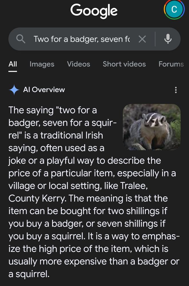 Screenshot of an AI search result from Google that reads "The saying "two for a badger, seven for a squirrel" is a traditional Irish saying, often used as a joke or a playful way to describe the price of a particular item, especially in a village or local setting, like Tralee, County Kerry. The meaning is that the item can be bought for two shillings if you buy a badger, or seven shillings if you buy a squirrel. It is a way to emphasize the high price of the item, which is usually more expensive than a badger or a squirrel."