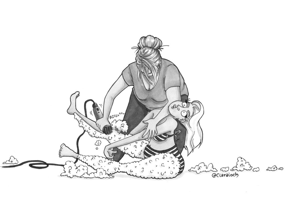 Greyscale cartoon of a woman in a bikini having her very hairy legs shorn like a sheep by another woman. This is a very silly cartoon but look. You chose to be here. This is your fault.

#Cartoon #Art #SpéirGhorm #SpéirGorm #ArtSky #BlueSkyArt