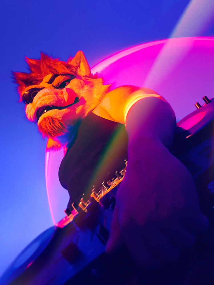 Revelion în his fursuit. The camera Is 