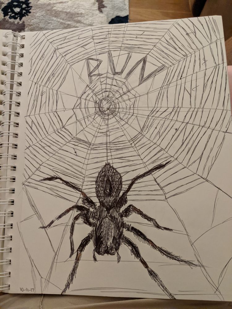 RUN A pen sketch of a giant spider, based on a wolf spider, taking up the bottom half of the drawing, covered in dark hair, facing the audience with legs splayed and at the ready, balanced on widely spread strands of a web, which is woven closer together at the top half, with letters spelled out in webbing near the top of the page, reminiscent of Charlotte's Web, but saying in capital letters 