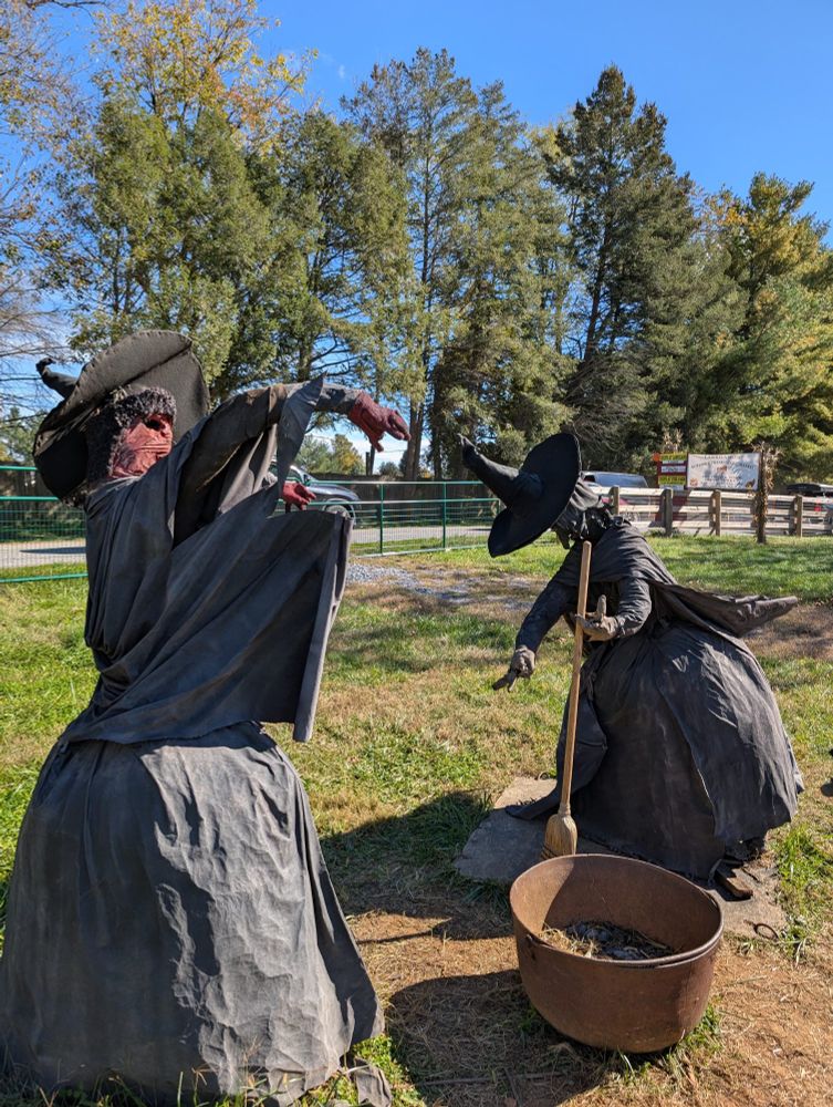 Photograph of witch props placed around a large pot on the ground. They have black hair, classic black witch hats and dresses/cloaks, and brightly colored faces. One visible has a red face. Two are visible out of three, and they are conjuring over the pot menacingly. The one on the right has a visible broom. Behind them are a field, a wooden fence, a driveway, and a cluster of evergreens, a few trees with turning leaves against a bright blue sky.