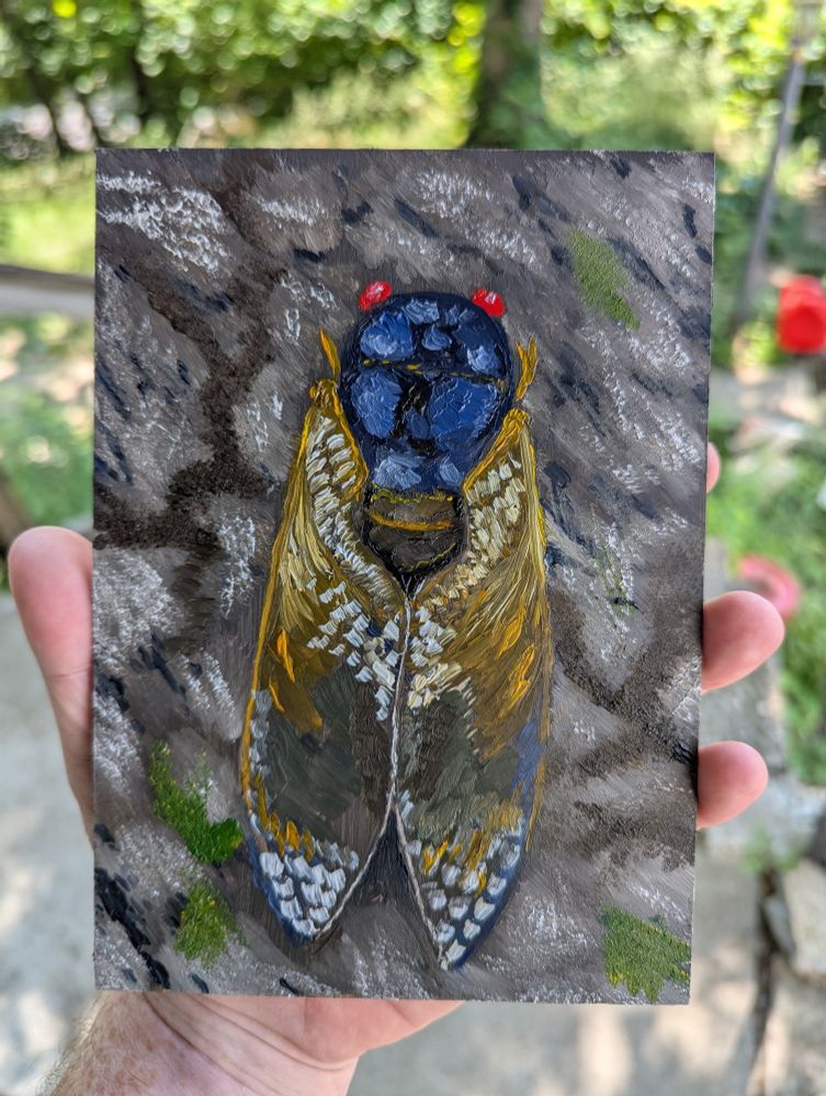 A cicada sitting on a log. A brilliant orange set of wings frame a blue body and massive red eyes. 