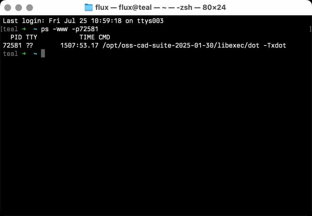 macOS Terminal showing ps output for "/opt/oss-cad-suite-2025-01-30/libexec/dot -Txdot" with 1507:42.41 minutes of CPU time.