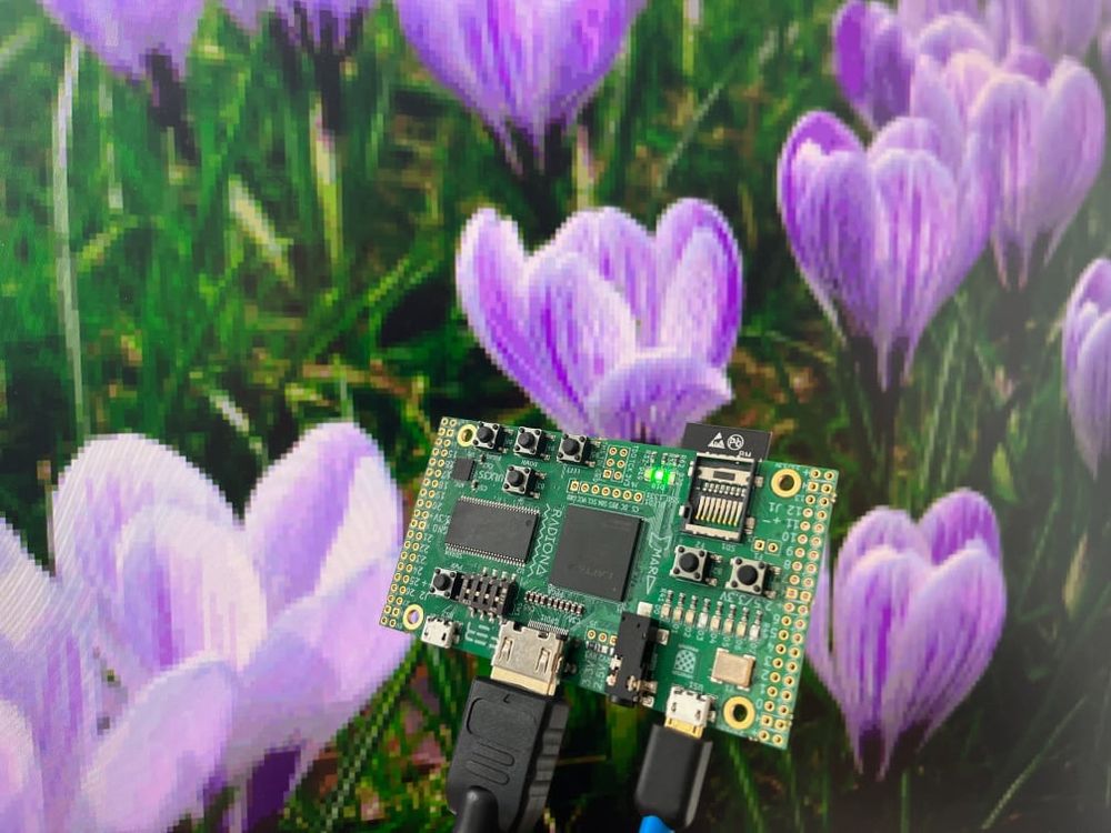 ULX3S FPGA dev board connected to USB and HDMI cables. In the background a colourful image of purple and white crocuses on a computer monitor.