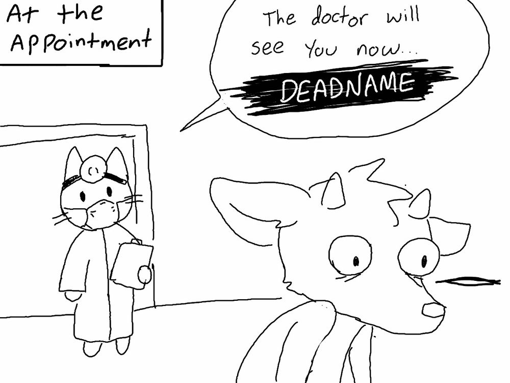 Panel 5: At the appointment. The cat doctor calls calls out "The doctor will see you now, DEADNAME." as the deer looks shaken