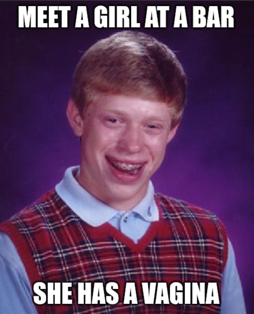 bad luck brian meme with the text "meet a girl at a bar" on top, and "she has a vagina" on bottom