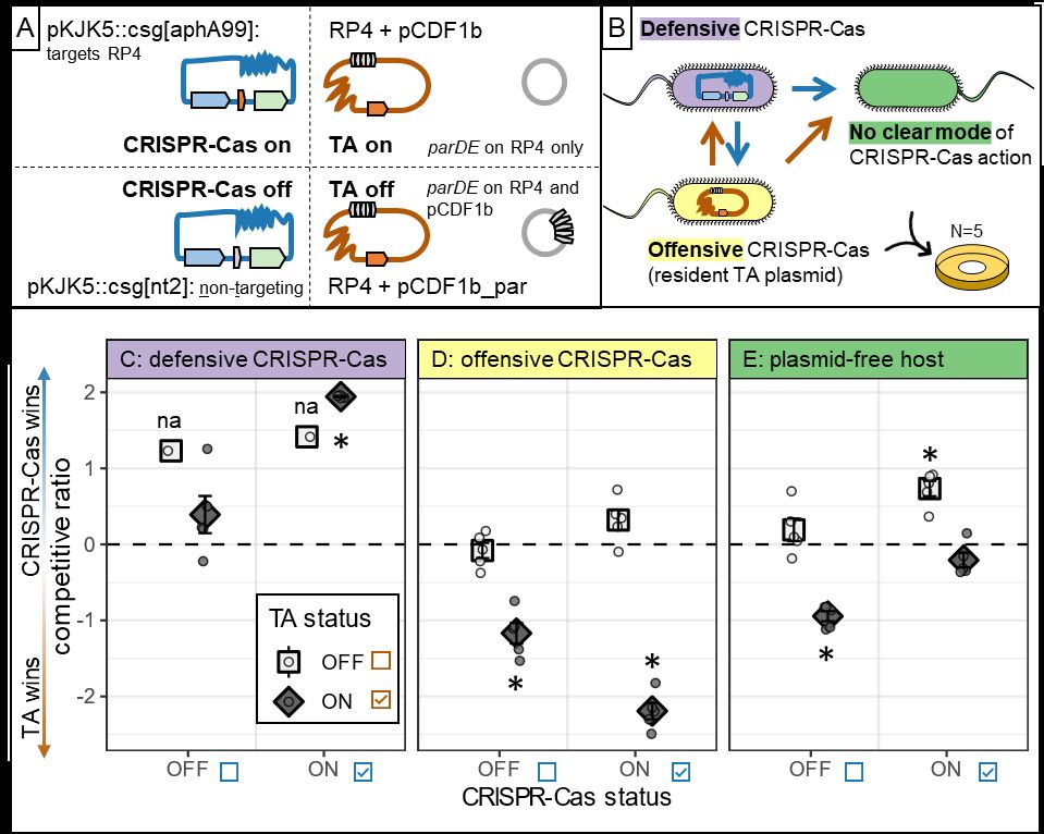 Figure 2 of the preprint