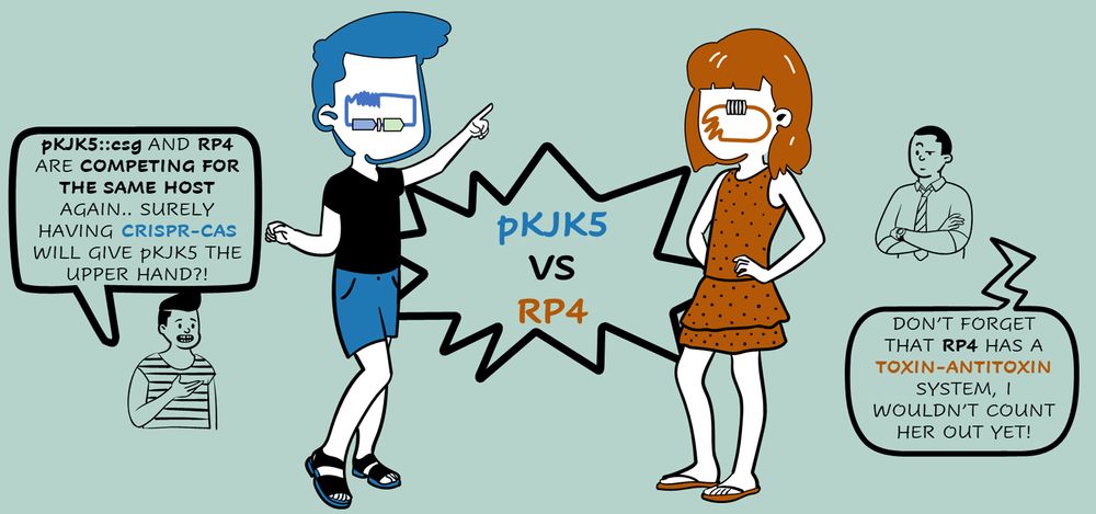 pKJK5 vs RP4 cartoon sketch on plasmid competition