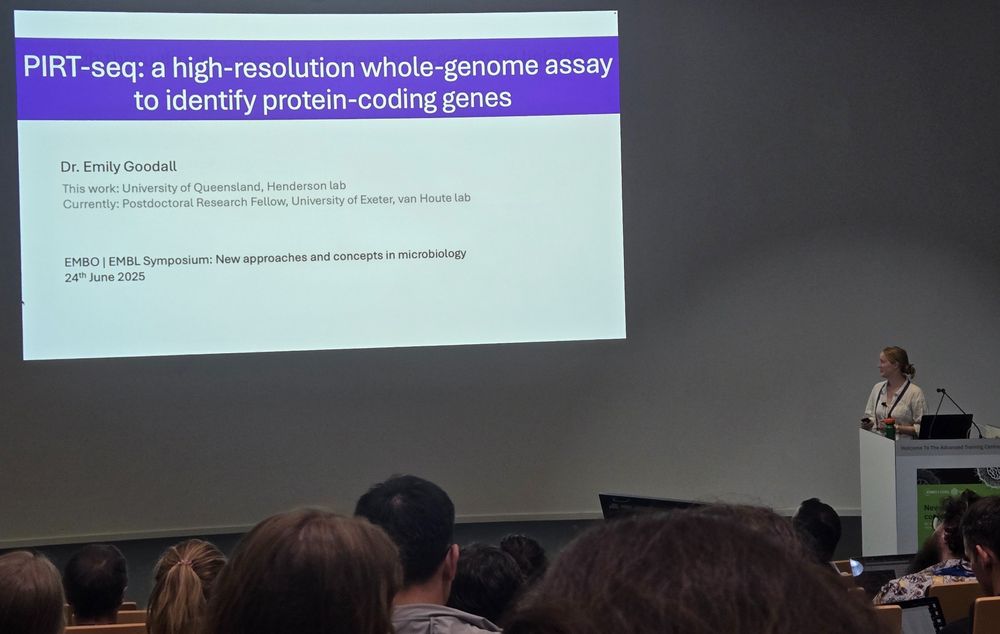 Emily presenting her talk