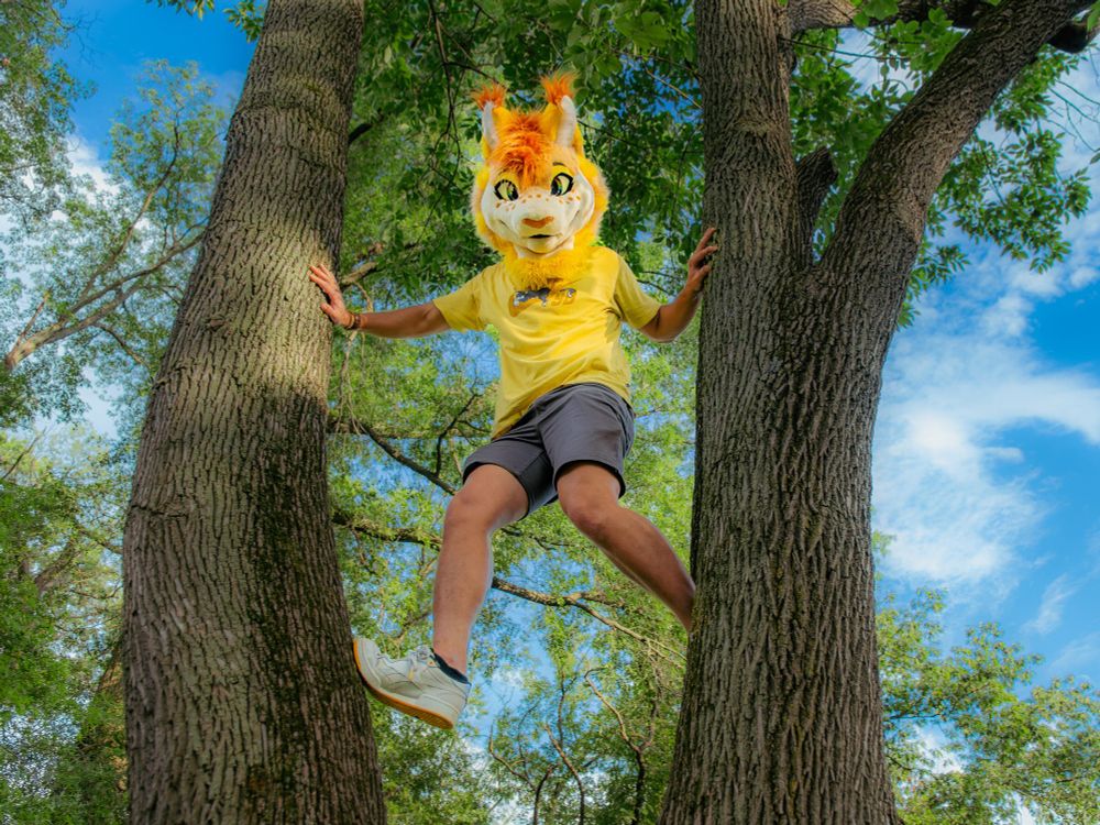 Radler climbs up between two trees 