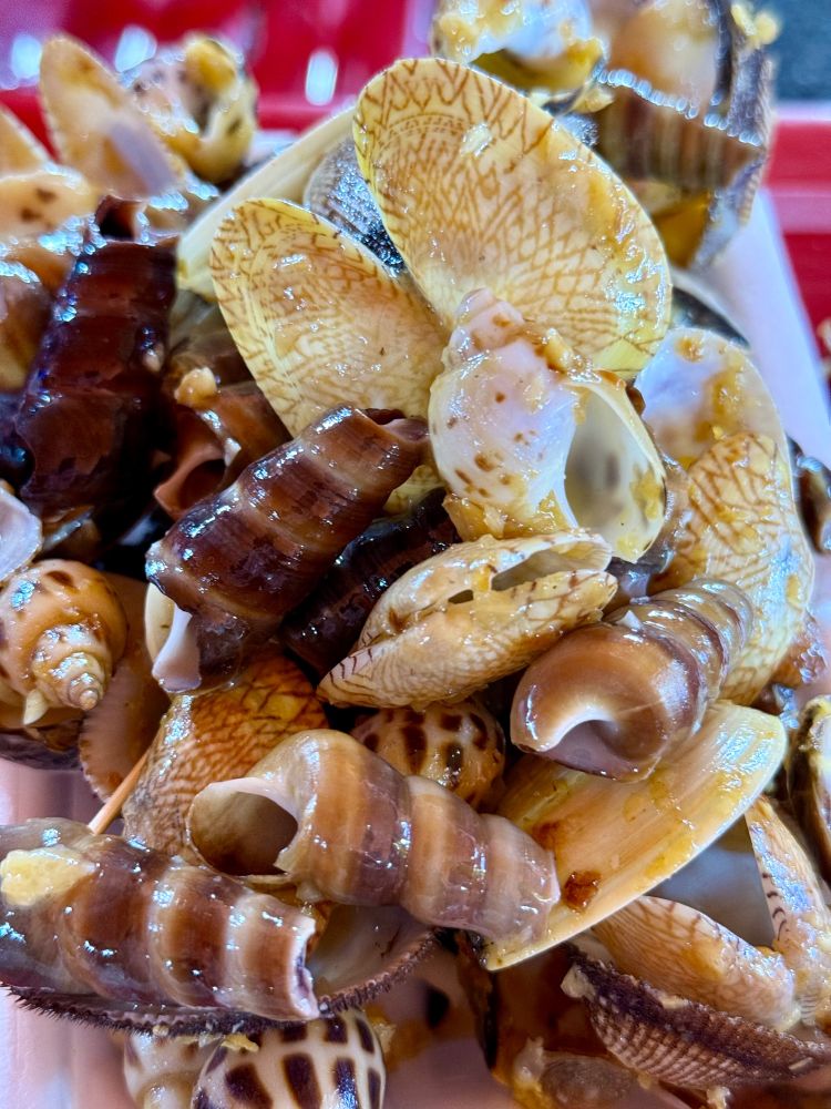 Getürmte leere Muscheln und Schnecken.