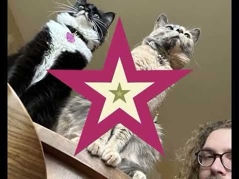 Every Little Thing - Maddie Jay & Chase Ceglie (Visualizer)