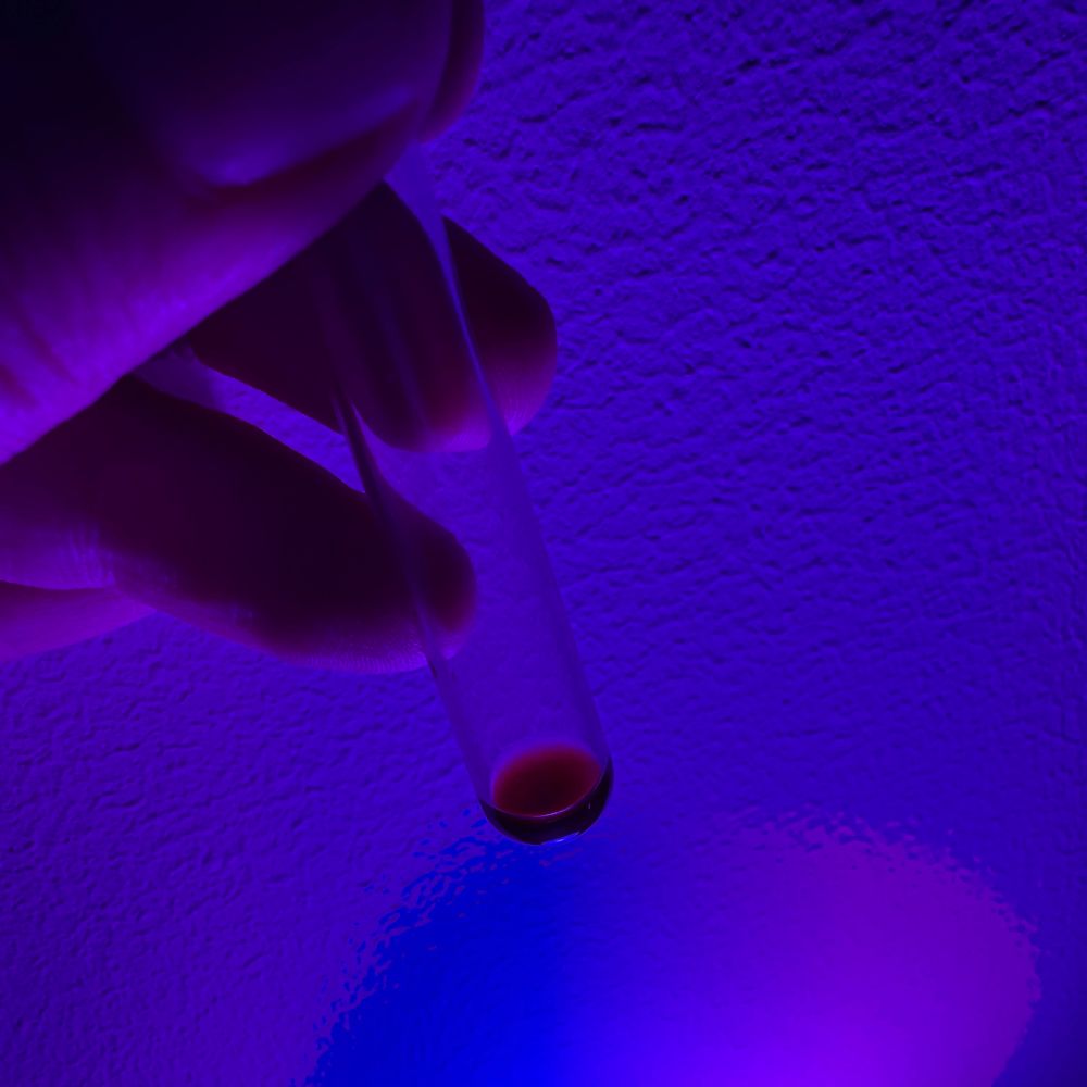 A drop of chlorophyll solution in the bottom of a test tube, held in violet light, showing a rich red colour. 