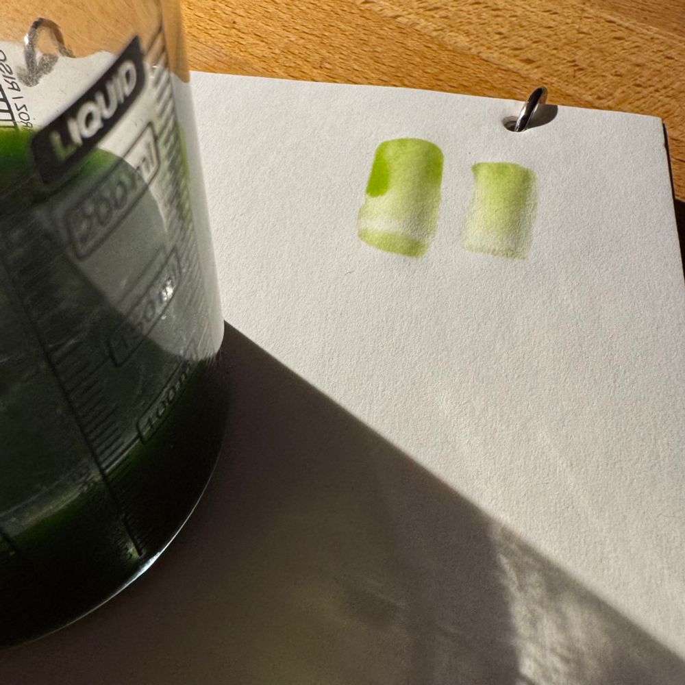A beaker with some deep green chlorophyll solution, and a couple of test brushstrokes showing its grassy green colour. 