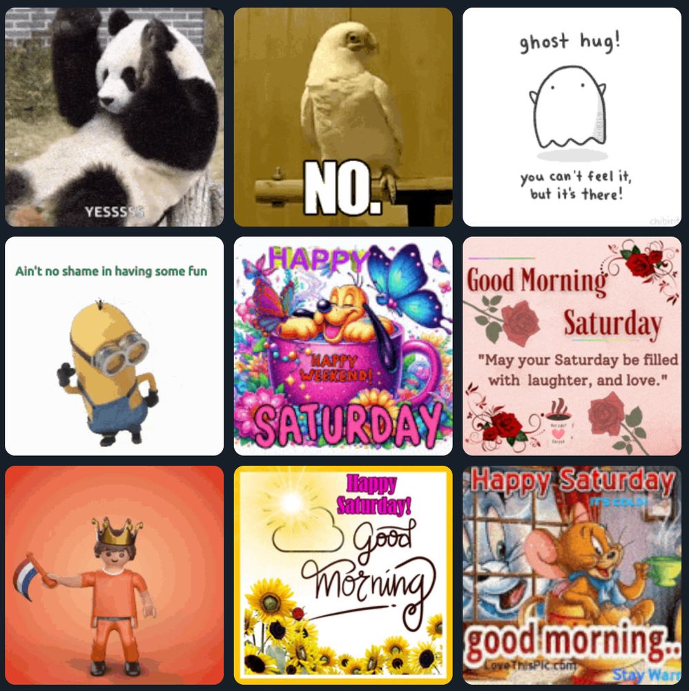 Selection of thumbnails from the gif button, which I can only describe as twee. Four are those cutesy and visually noisy "good morning" type gifs that your older relatives like to send to WhatsApp group chats. One is a minion meme, and I mean, enough said.