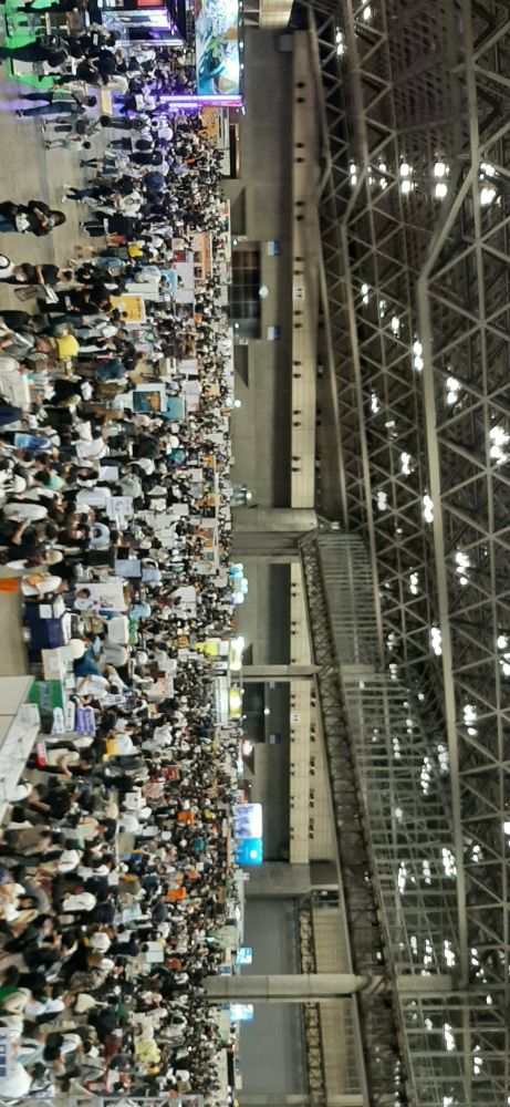 Initial view of the crowd
