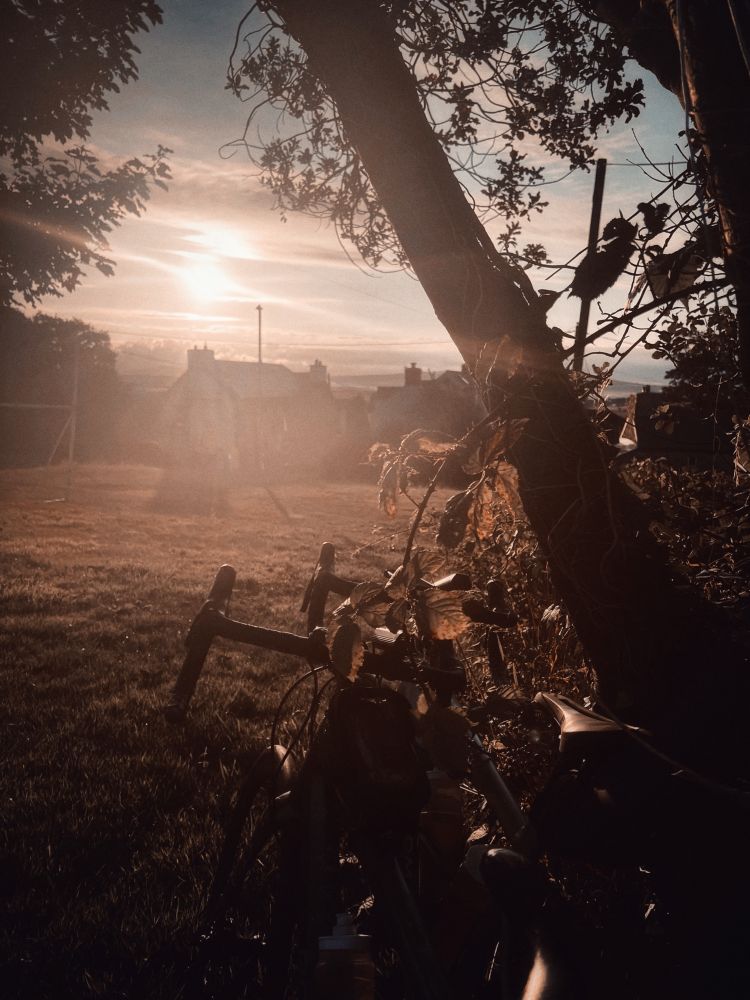 Our bikes in a silent village, beside a tree at sunrise. 