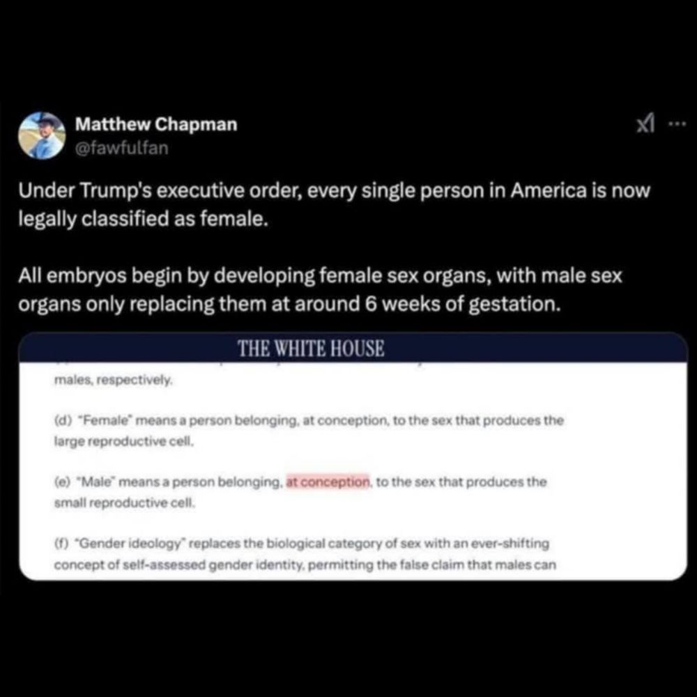 Matthew Chapman (@fawfulfan)
"Under Trump's executive order, every single person in America is now legally classified as female.
"All embryos begin by  y developing female sex organs, with male sex organs only replacing them at around 6 weeks of gestation"
Image: Official White House announcement - 
"(d) "Female" means a person belonging, at conception, to the sex that produces the large reproductive cell.
"(e) "Male" means a person belonging, at conception, to the sex that produces the small reproductive cell."