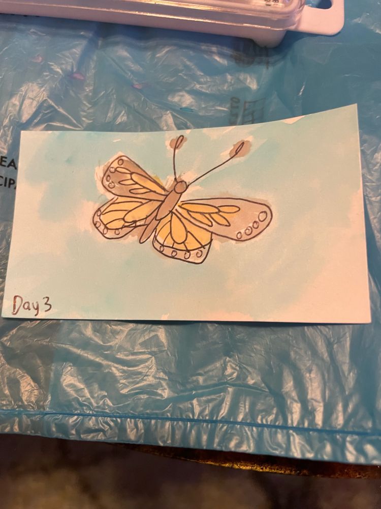 Pen drawing of butterfly colored in watercolor with text “day 3”
