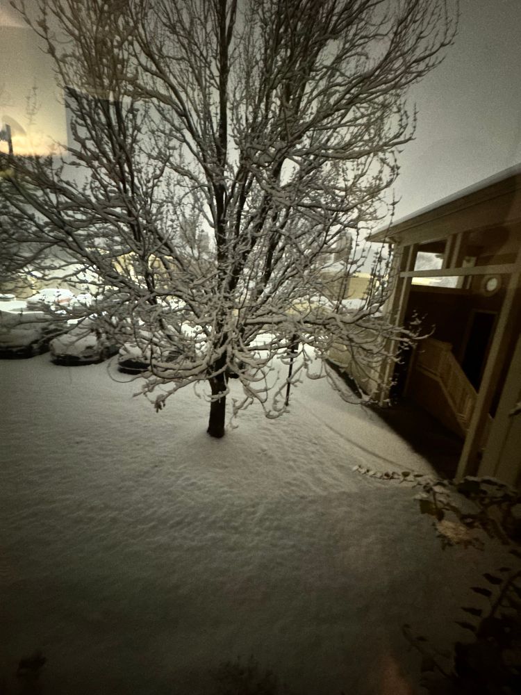 When everything looks frozen in time…