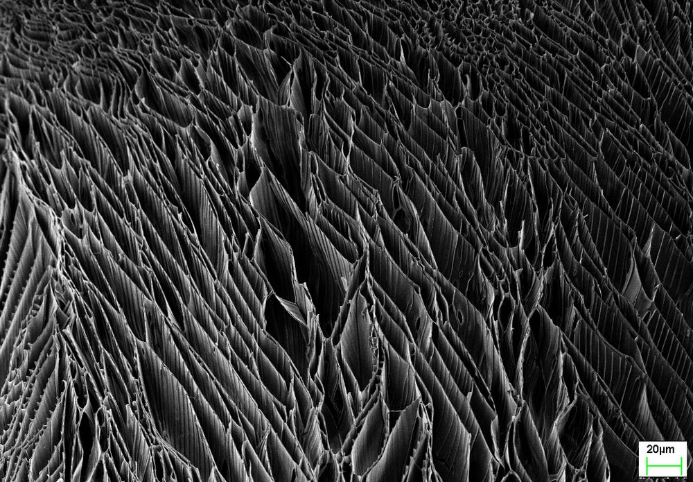Microscopic image of "sheets" of polymer (plastic) arranged side-by-side
