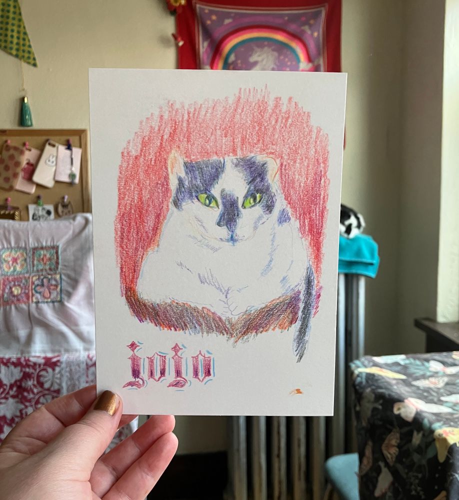 A photo of a beautiful colored pencil portrait of Jojo, a black and white cat with one crumpled ear. He is peeking out behind one side of the drawing.