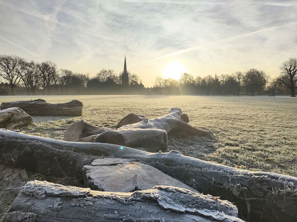 View of frost on tree trunks and a meadow in Clissold Park with the morning sun rising behind the trees.