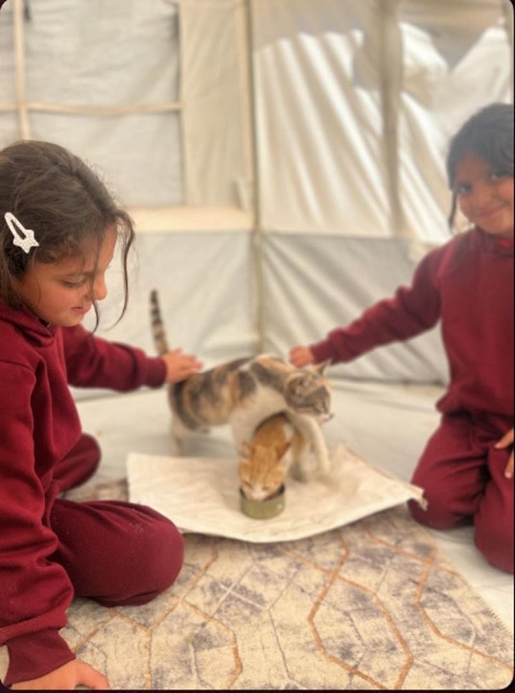 Two young twin girls with a pair of cats