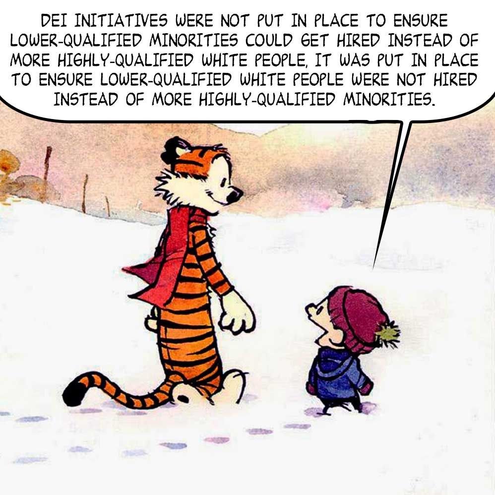 A Calvin and Hobbes panel but the speech bubble has been changed so that Calvin is telling Hobbes, "DEI initiatives were not put in place to ensure lower-qualified minorities could get hired instead of more highly-qualified white people, it was put in place to ensure lower-qualified white people were not hired instead of more highly-qualified minorities." 