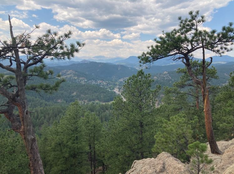 A view of a valley and distant mountains from a rocky outcrop. There are two scraggly pine trees on either side of the photo. The valley is covered in green pine trees. The distant mountains seem hazy blue, and the sky is mostly cloudy with puffy white clouds floating over.