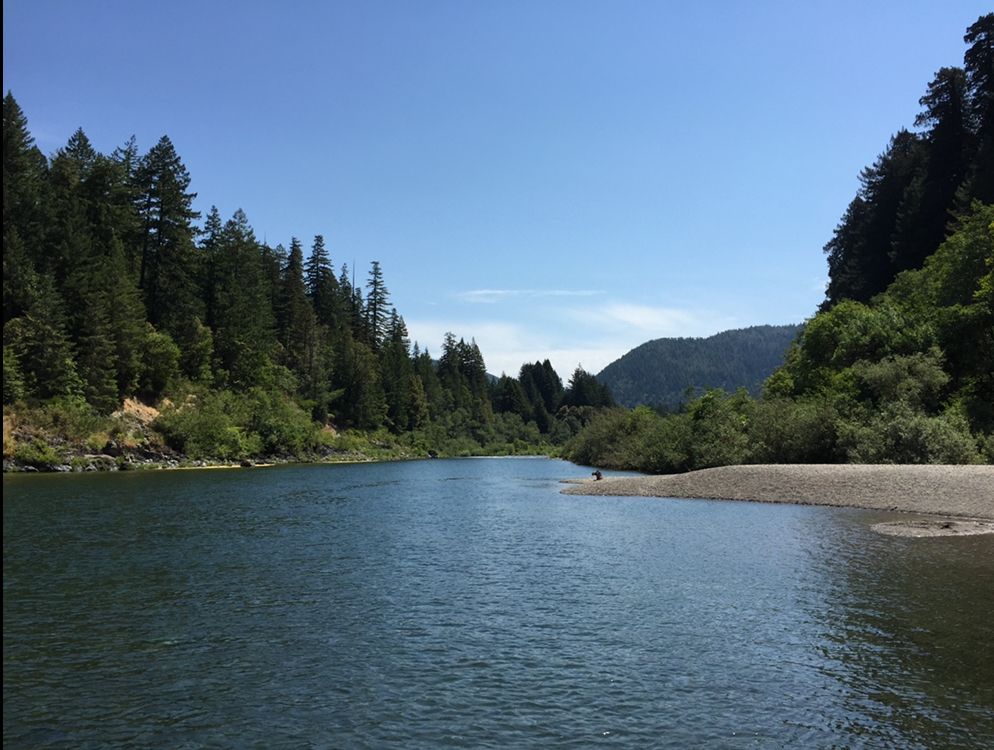 A view of the tranquil Klamath River in Redwoods National Park in California. The clear light blue sky reflects off the water. The banks on both sides are covered with green vegetation and pine trees. A small mountain rises in the distance in the middle right of the photo.