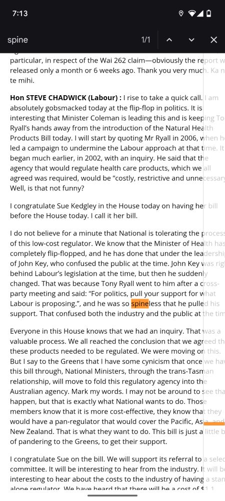 Steve Chadwick describes a specific named opponent (John Key I think?) as spineless