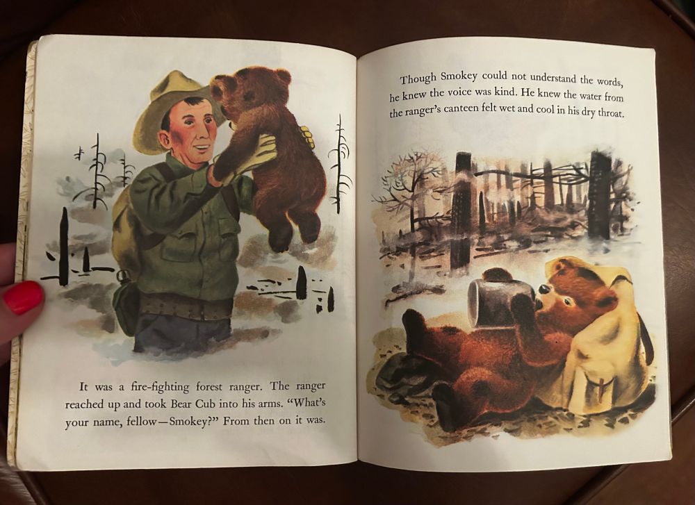 Little Golden Book origin story of Smokey the Bear from 1955 (1970 edition). Image one shows a baby bear being held up by a park ranger and clearly suffering burns from a forest fire. In image two, he’s still burned, but drinking from a tin like a bottle and using the ranger’s pack as a pillow. 
