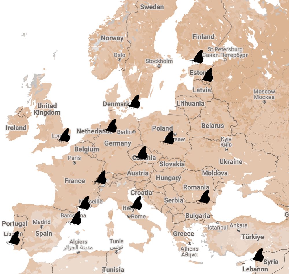 The aim of this proposal is to place population genomic insights into a comparative framework to gain fundamental insights into the determinants of evolutionary outcomes. The project will work within LepEU, the European Lepidopteran Population Genomics Consortium (https://lepeu.github.io/). LepEU provides access to field samples from European populations of diverse species. Chromosome-scale reference genomes are provided by Project Psyche (https://www.projectpsyche.org/). Networking during the postdoc will be facilitated by participation in the 10kLepGenomes COST Action (https://10klepgenomes.eu/). Existing datasets await analysis, while additional samples need DNA extraction and submission for sequencing. Functional validation capability (CRISPR/Cas9 gene manipulations) is also available to test emergent hypotheses of allele-to-phenotype impacts. Personal research interests of the postdoc will be important to determine the exact project, as the project has a generous sequencing budget.