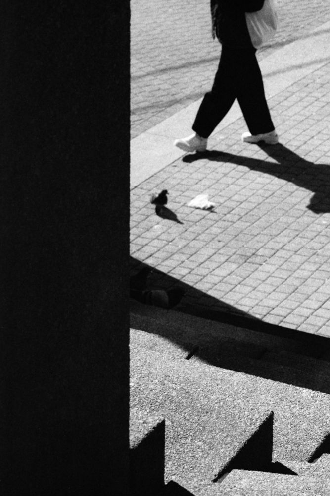 A pedestrian, in silhouette, with shopping bag passes some steps and a pigeon.