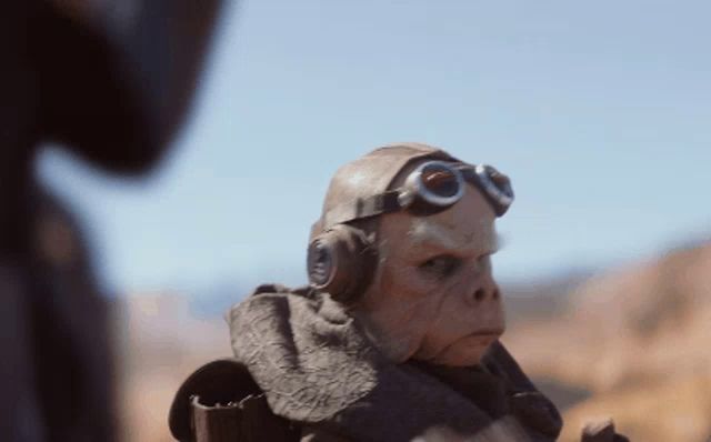 a close up of a monkey wearing goggles