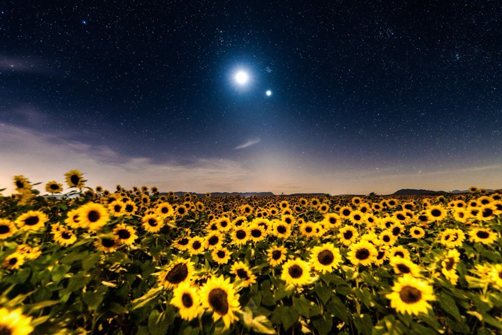 ©Gerardo L Gerardo-Fotografia
𝕏@GGerardox2
IG: @gerardolgerardo
FB: Gerardo L Gerardo - Retrato y
Paisaje Sonorense ©

No copyright infringement is intended. This content is shared solely for purposes of appreciation, commentary, education, archival, and other non-commercial uses, under the protection of fair use. All moral and patrimonial rights remain with the original creator mentioned above.