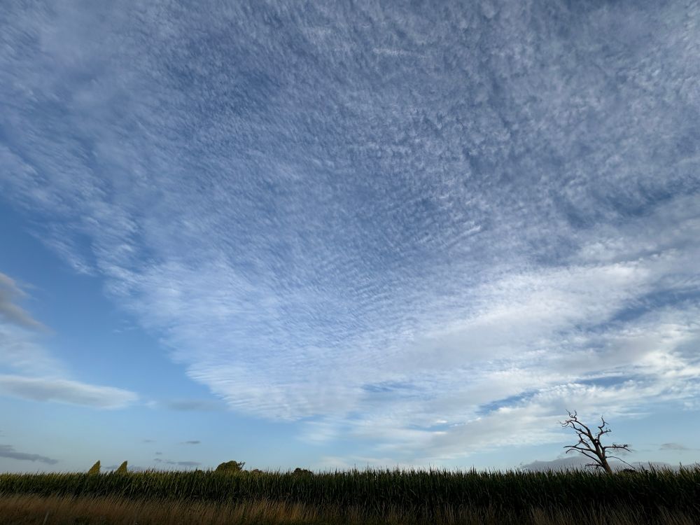 Sky with cirrocumulus clouds. 