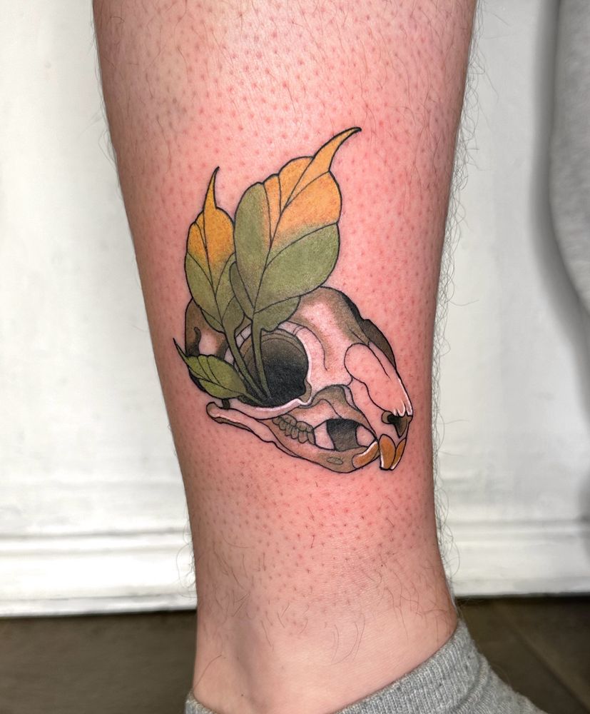 Tatovering på nedre del av legg (ytterside) av en ekornskalle med tre grønne og gule blader som vokser ut av øyehulen.