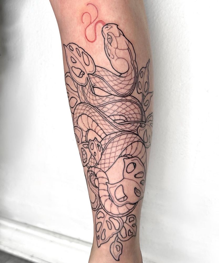 Tatovering på fremside legg av en slange med monstera-blader som stikker ut innimellom kveilene til slangekroppen. Tatoveringen er uferdig, med bare sorte linjer og rød tunge. Hvit bakgrunn.