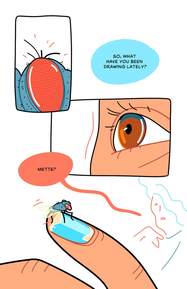A comic page. Panel 1 shows a close up of a fly's eye, and panel 2 shows a close up of a human eye. Below is a panel-less drawing of a finger where a fly has landed, and an outline of a person. They are saying "So, what have you been drawing lately? Mette?"