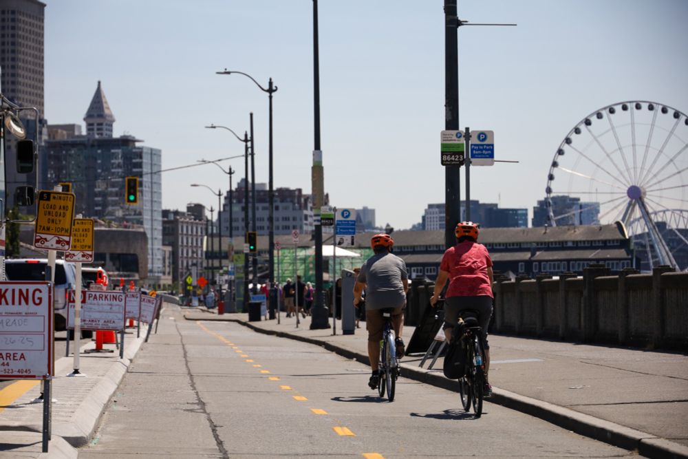 Two people ride bikes on the new protected bike lanes along Alaskan Way.