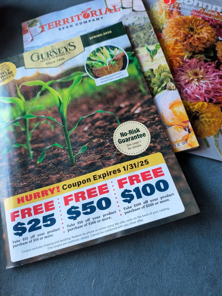 A picture of several mail order seed catalogs.