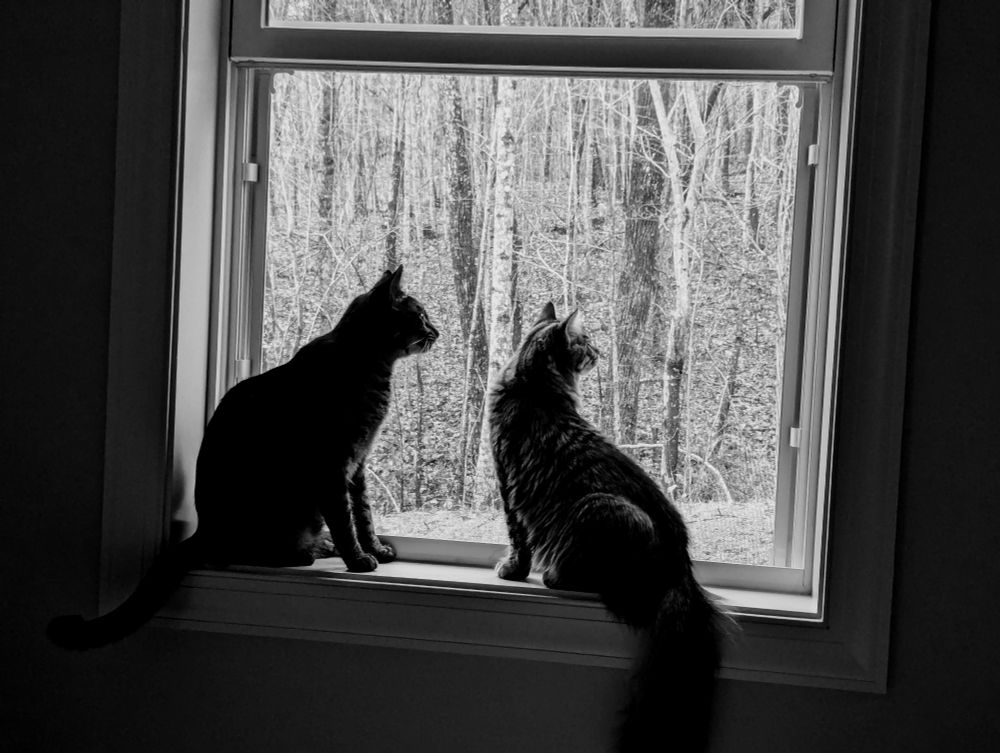 Winslow and Hooper, December 29th 2024