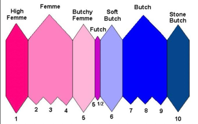The Femme-Butch scale.