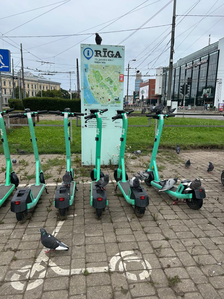 bunch of pigeons perched on some electric scooters