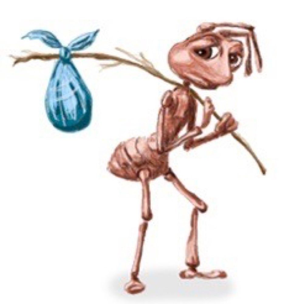 Sad ant carrying a bindle