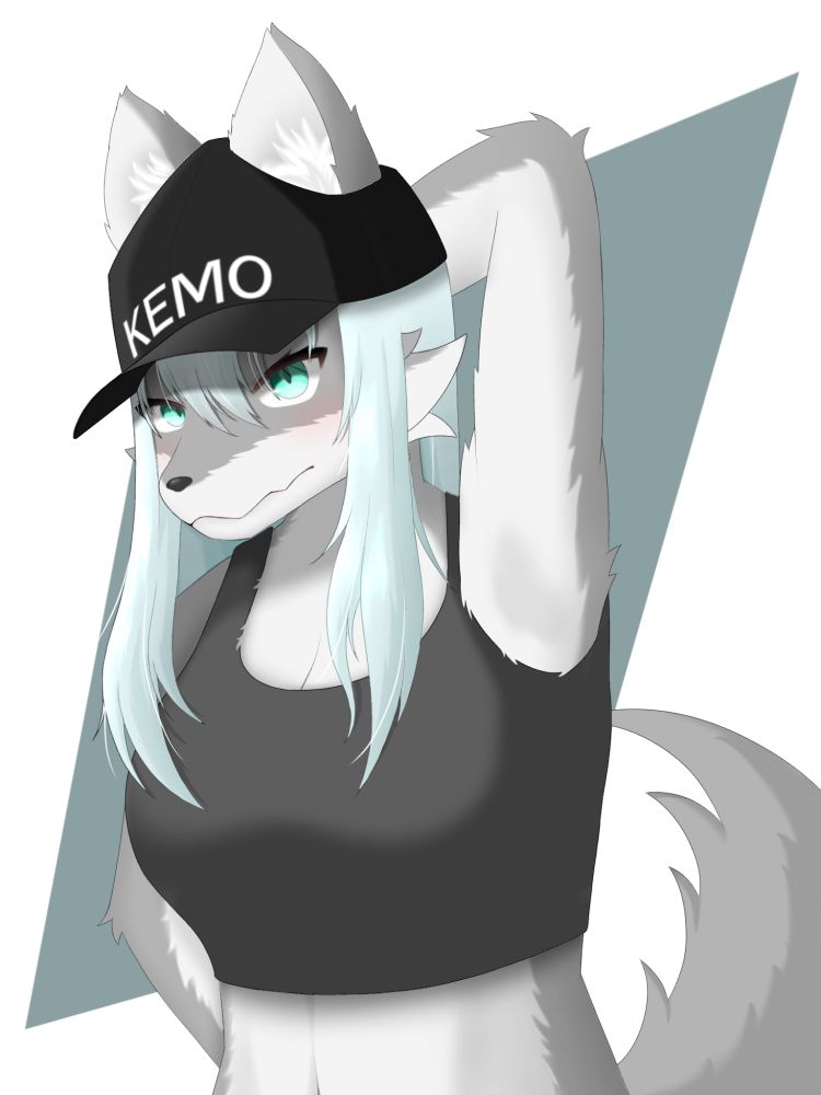 名前：???　夢に出てきたメスケモ。記憶を頼りに描いたから詳しいことはワカランヌ