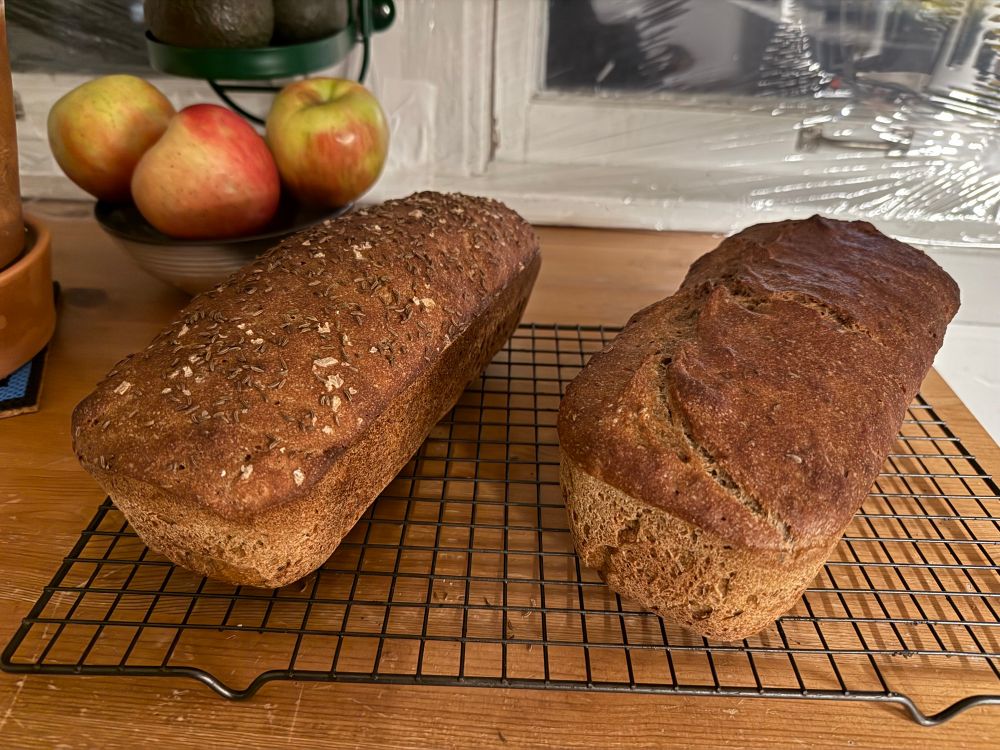 Two loaves of rye bread on a drying rack in front of apples and a window. 