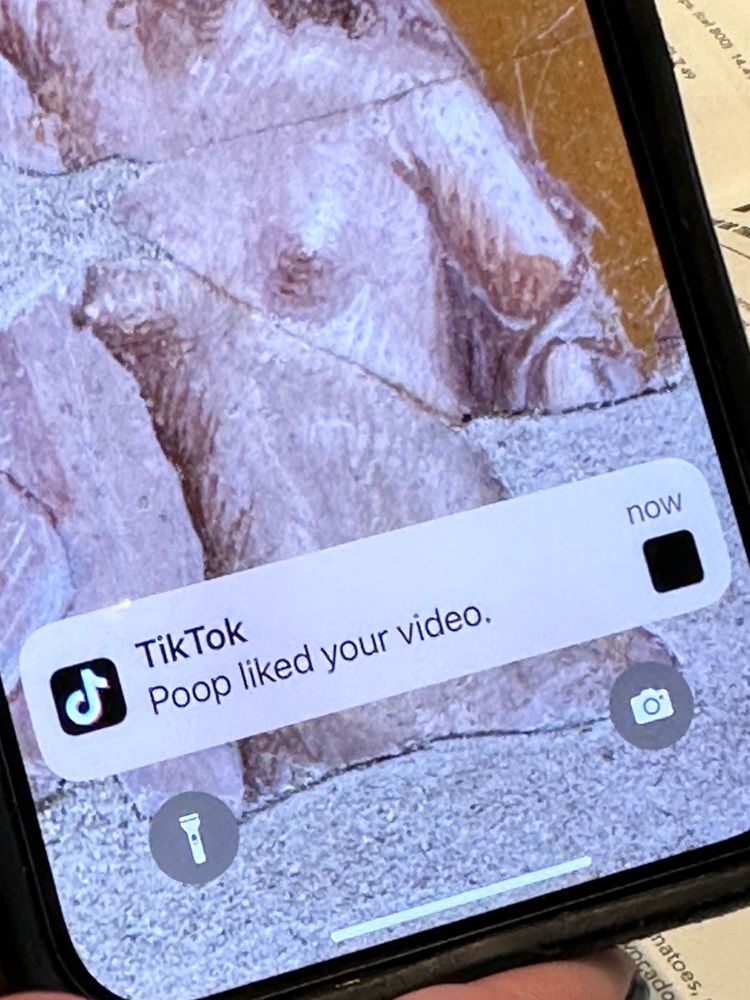 picture of a notification on an iPhone “TikTok: Poop liked your video.”
